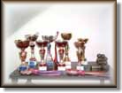 Boroka's Grand Amity trophies
